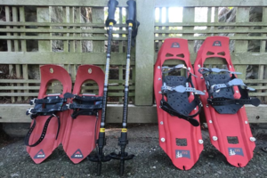 image of a 2 pairs of red snowshoes