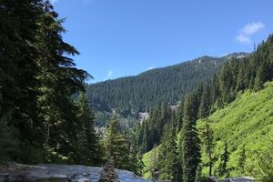 View of river and trees