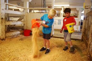 Image of Kids on the Farm Tour Activities