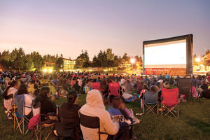 image of crowd at outdoor movies in the park