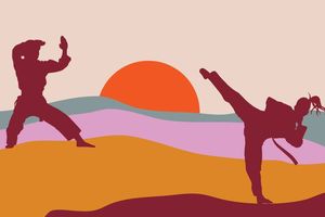 silhouette image of two people in martial arts poses, with a sunset background