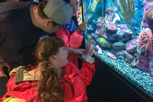 Group of individuals, including one person in a wheelchair, admiring an aquarium exhibit together.