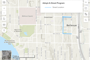 Adopt-A-Street map to see what streets have been adopted