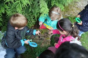 Group of preschool aged children, outdoors, looking at an insect on a log