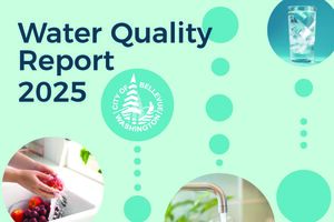 2025 Water Quality Report Cover