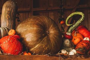 photo of pumpkins in a barn