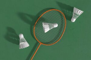 badminton racket and three birdies