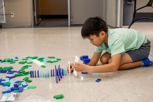 young boy sets up dominoes 